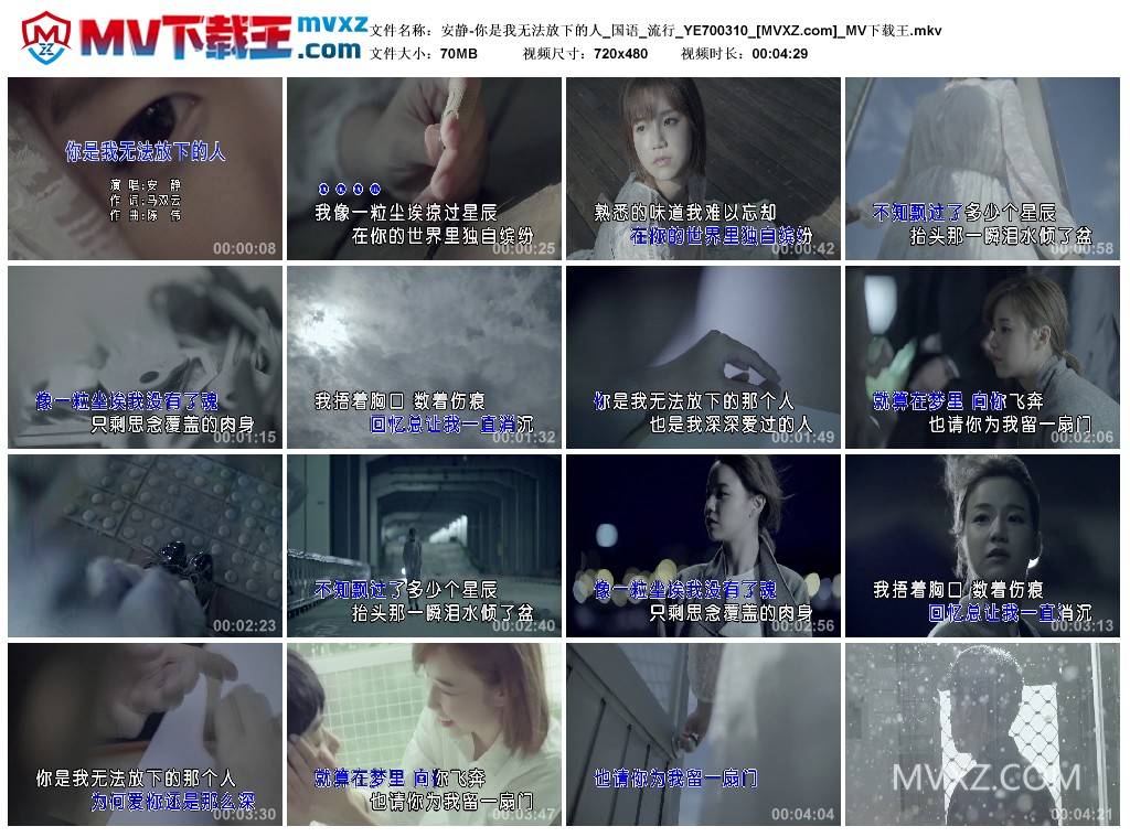 安静-你是我无法放下的人_国语_流行_YE700310